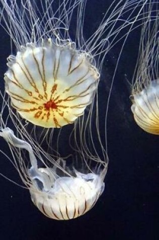 Cover of A Trio of Jellyfish in the Tank Journal