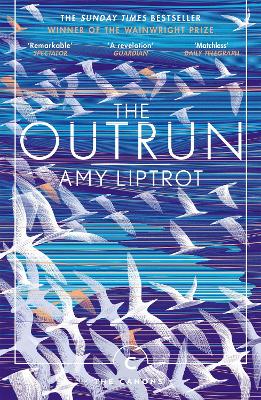 Book cover for The Outrun