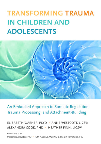 Book cover for Transforming Trauma in Children and Adolescents