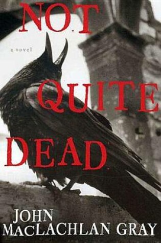 Cover of Not Quite Dead