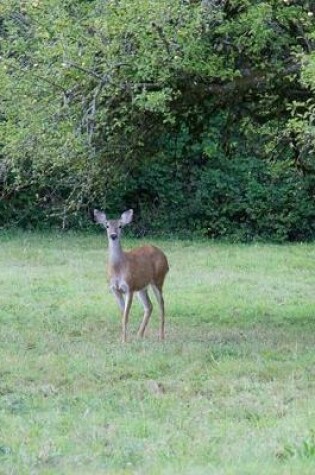 Cover of Doe in a Field Journal