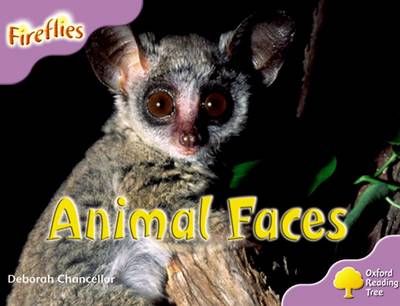 Cover of Oxford Reading Tree: Level 1+: More Fireflies A: Animal Faces