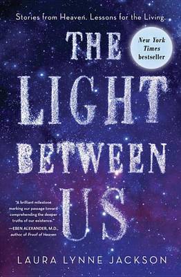 Book cover for The Light Between Us