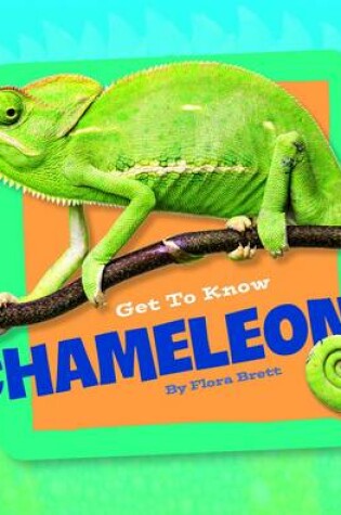 Cover of Get to Know Reptiles Get to Know Chameleons