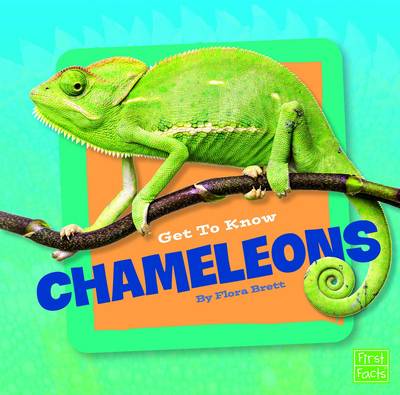 Book cover for Get to Know Reptiles Get to Know Chameleons