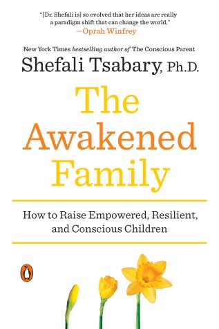 Book cover for The Awakened Family