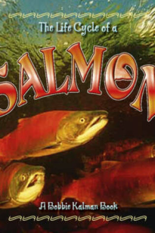 Cover of The Life Cycle of a Salmon
