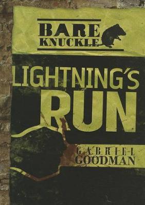 Book cover for Lightning's Run