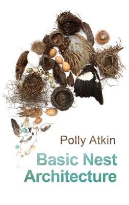 Book cover for Basic Nest Architecture