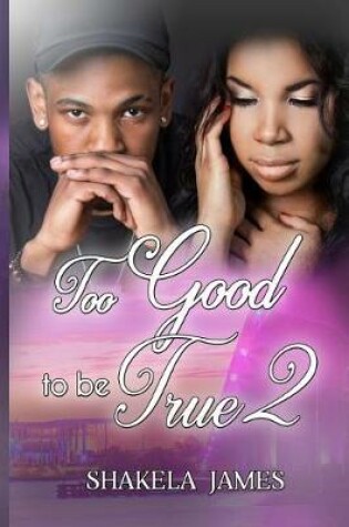 Cover of Too Good to Be True 2