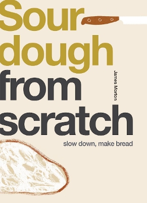 Book cover for Sourdough