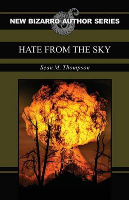 Book cover for Hate From The Sky (New Bizarro Author Series)