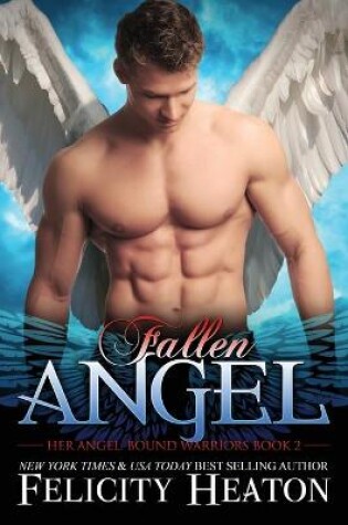 Cover of Fallen Angel