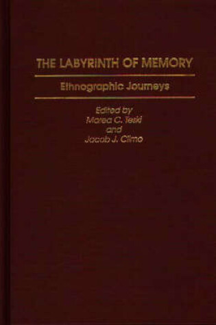 Cover of The Labyrinth of Memory