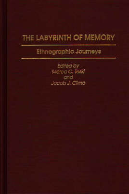 Book cover for The Labyrinth of Memory