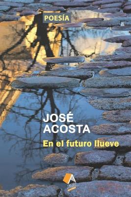 Book cover for En el futuro llueve