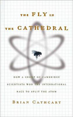 Book cover for The Fly in the Cathedral