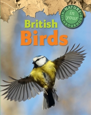 Book cover for Nature in Your Neighbourhood: British Birds