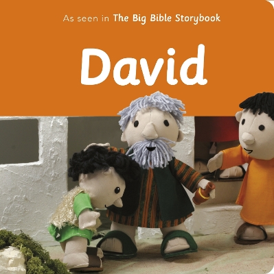 Cover of David