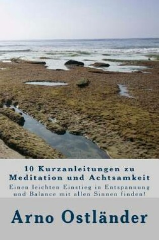 Cover of 10 Kurzanleitungen zu Meditation und Achtsamkeit