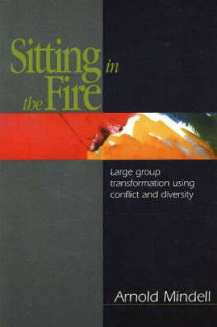 Cover of Sitting in the Fire