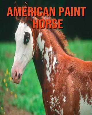 Book cover for American Paint Horse