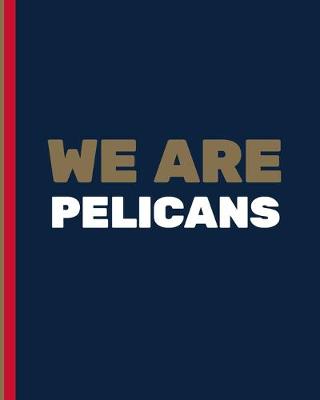 Book cover for We Are Pelicans