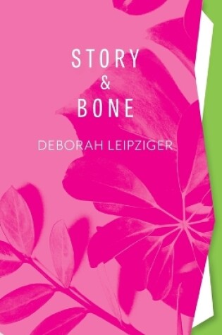 Cover of Story & Bone