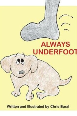 Cover of Always Underfoot