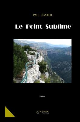 Book cover for Le Point Sublime