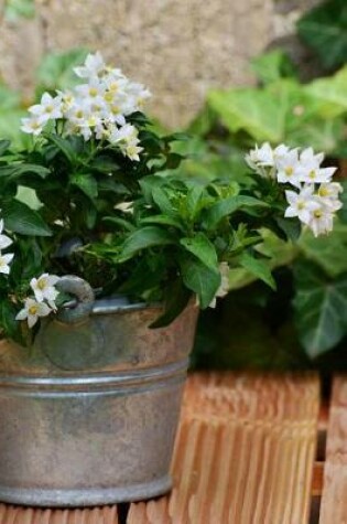 Cover of Jasmine Flowers in a Pot Solanum Jasminoides Journal