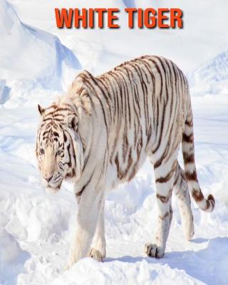 Book cover for White Tiger