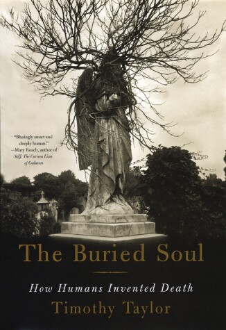 Book cover for The Buried Soul