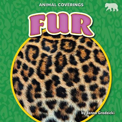 Book cover for Fur