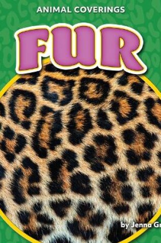 Cover of Fur