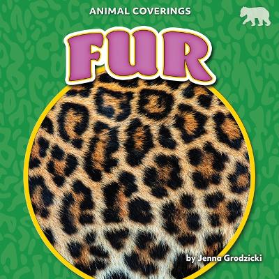 Cover of Fur