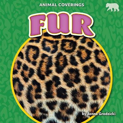 Book cover for Fur