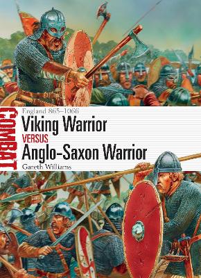 Book cover for Viking Warrior vs Anglo-Saxon Warrior