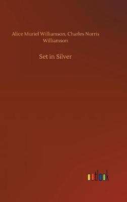 Book cover for Set in Silver