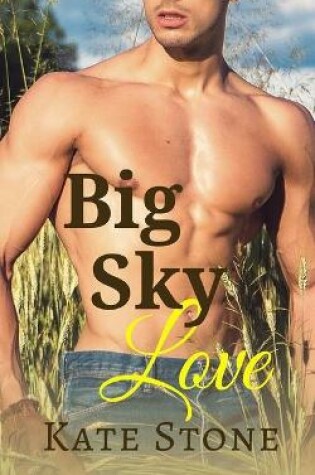 Cover of Big Sky Love