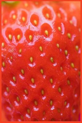 Book cover for Strawberry Notebook