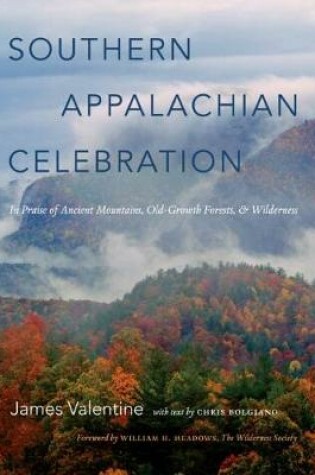 Cover of Southern Appalachian Celebration