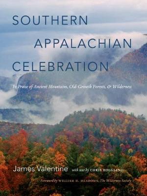 Book cover for Southern Appalachian Celebration