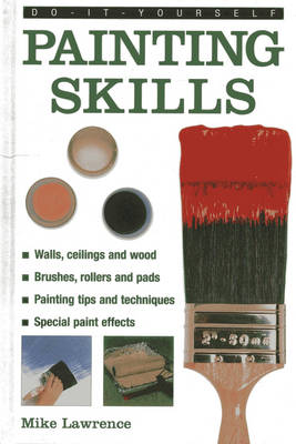 Book cover for Do It Yourself Painting Skills