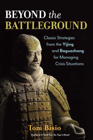 Book cover for Beyond the Battleground