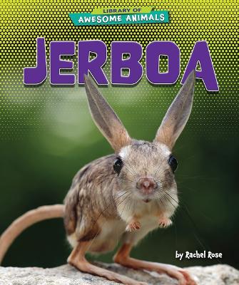 Book cover for Jerboa