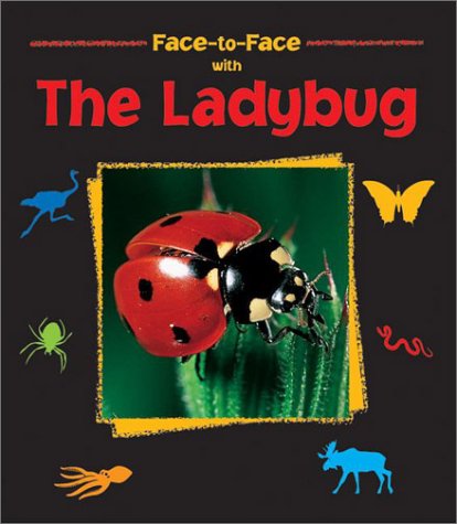 Book cover for The Ladybug