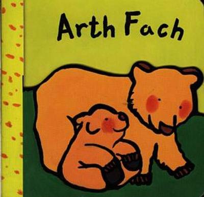 Book cover for Cyfres Llyfrau Bordyn: Arth Fach