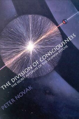 Cover of The Division of Consciousness