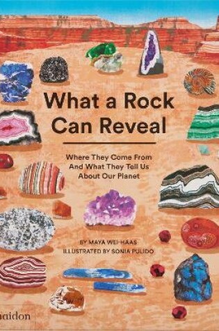 Cover of What a Rock Can Reveal